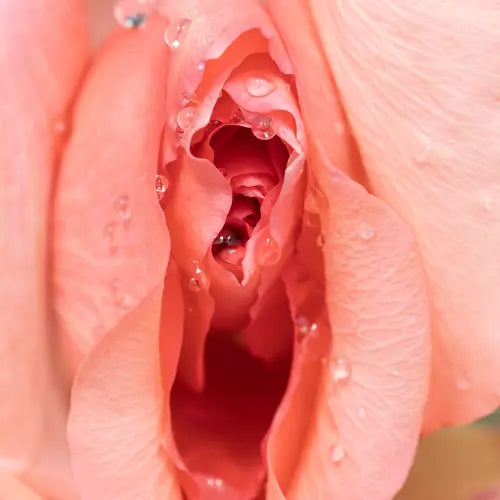 Tratamientos Vaginales