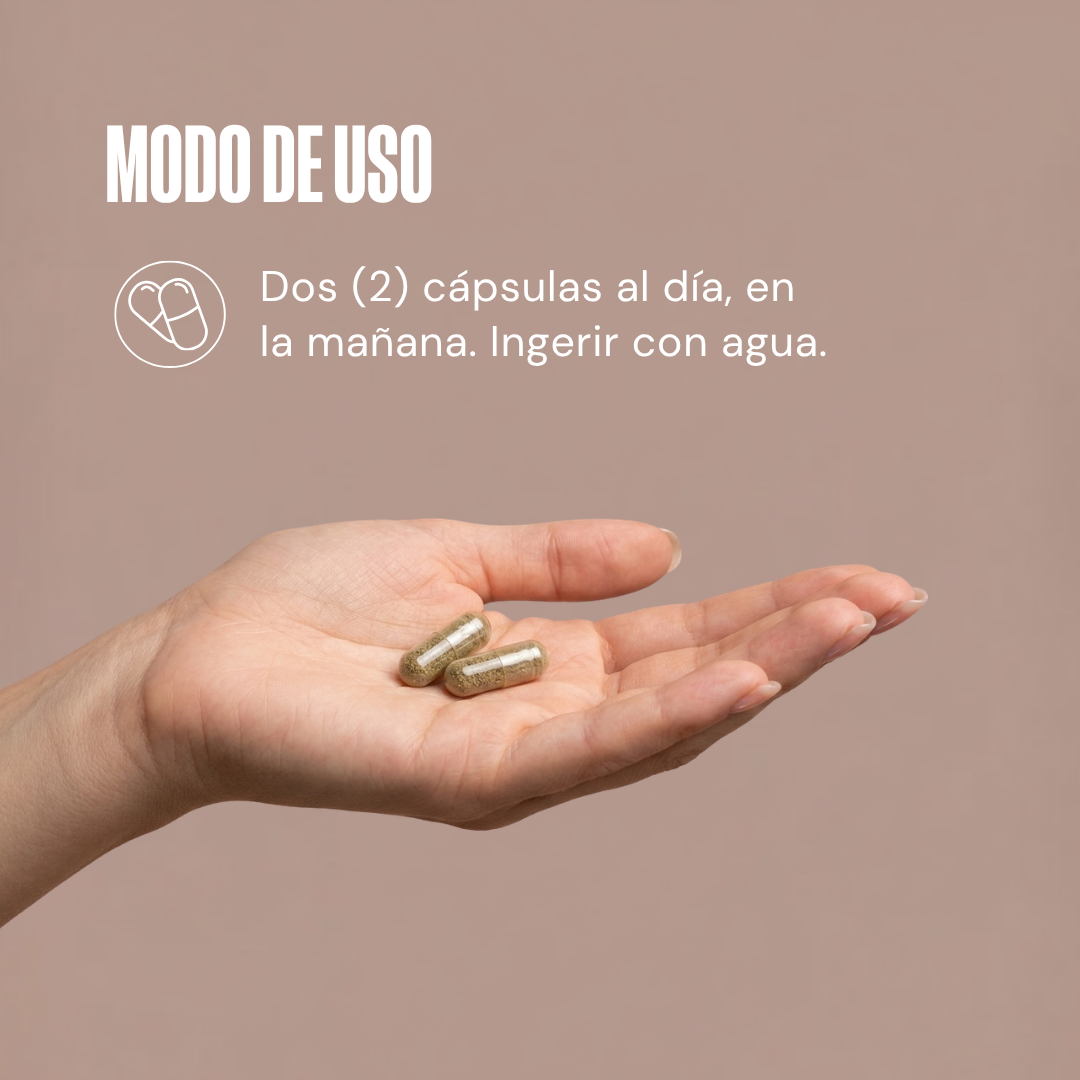 Vida Brain