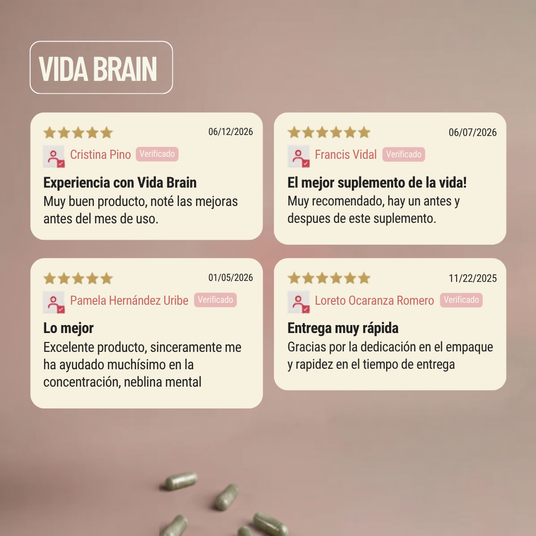Vida Brain