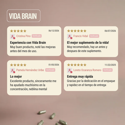 Vida Brain